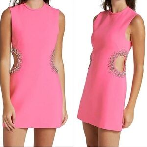 ALC Pink Cutout Embellished Sheath Mini